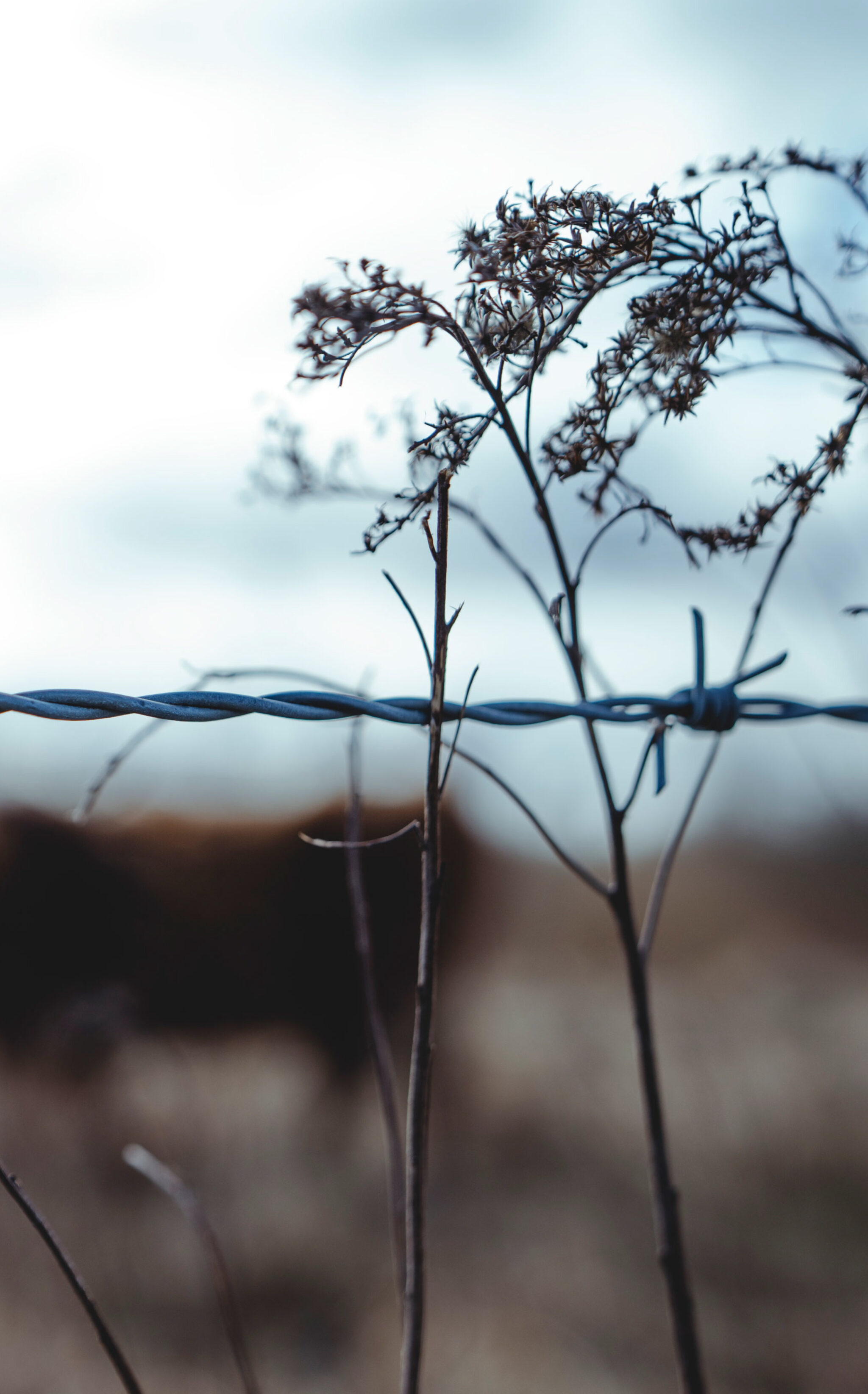 contrast in fotografie – van het filosofische soort – geeft die extra diepgang.