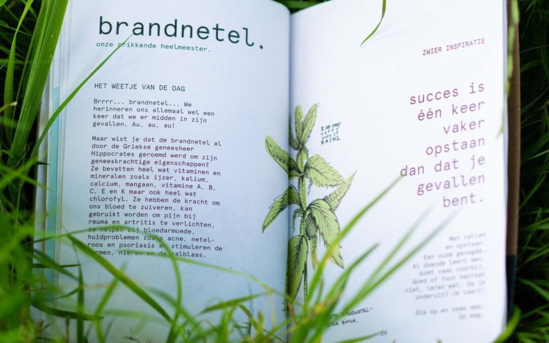 Vrijhaven Zwier Inspiratieboekje – Een boekje vol met de kracht van buiten.